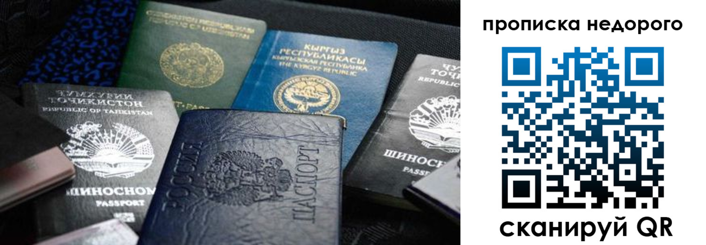 временная регистрация поиск в Орле